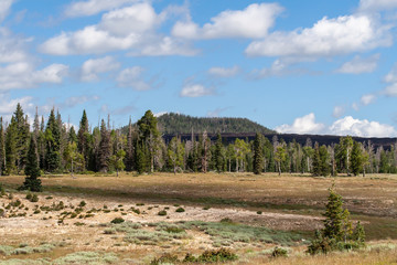 Duck Creek cinder-cone lava bed in Utah with puffy clouds