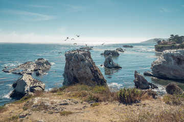 Cliffs, Rocks, Arches, and Flock of Birds. Shell Beach Area of Pismo Beach, California