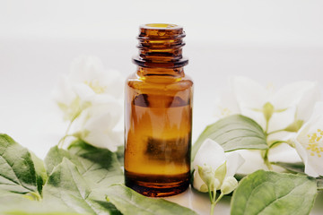 Jasmine oil or essence in a glass bottle for hair and skin. Aromatherapy and Spa concept