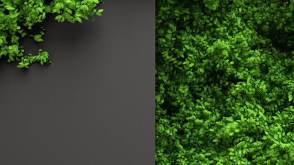 Beautiful summer foliage frame. 3d illustration, 3d rendering.