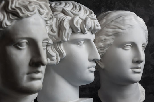 Gypsum copy of ancient statue Apollo, Antinous and Venus head on dark textured background. Plaster sculpture face.