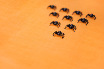 Black halloween spiders walking on orange background.