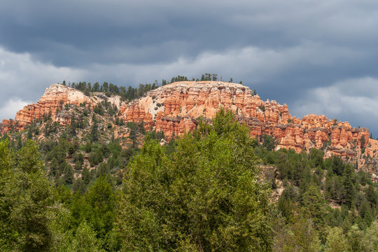 Stout Canyon Utah