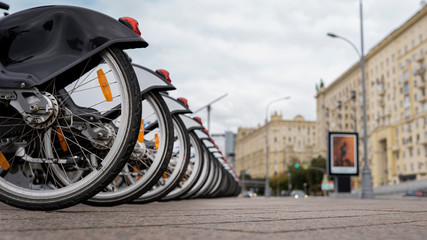 bicycles for rent, comfortable walks around the city, no brand