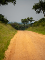 Fototapeta na wymiar Scenic views of Queen Elizabeth National Park, Uganda
