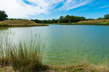 Dike with cows, water and grass. Veere, The Natherlands