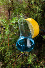 Blue gin and juniper branches with berries.
