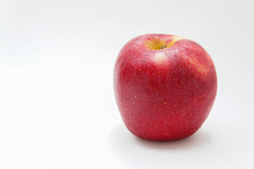 red apple fruit on white background