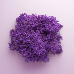 Beautiful summer foliage frame. 3d illustration, 3d rendering.