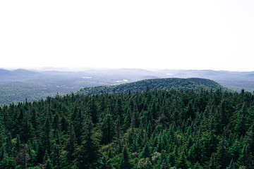 View From Pilsbury Fire Tower, Adirondack Park, NY