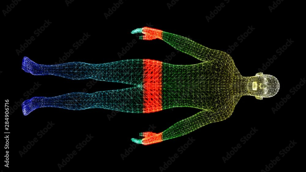 Fototapete Futuristic motion element user interface information technology virtual biomedical holographic human body scan diagnostic with data and telemetry head up display for background computer desktop screen