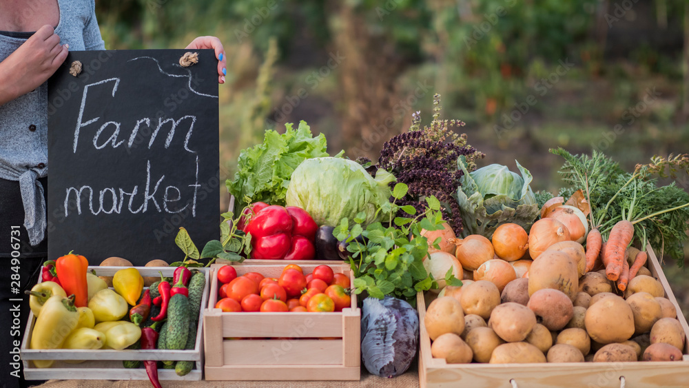 Wall mural farmer's hands holding a sign. farmers market near the counter with seasonal vegetables