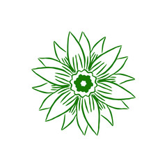 floral vector illustration ready to use