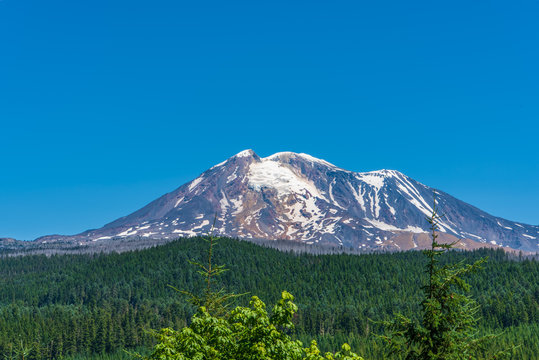 Landscape of SW Face of Mount Adams from Forest Road-23 Viewpoint -2328