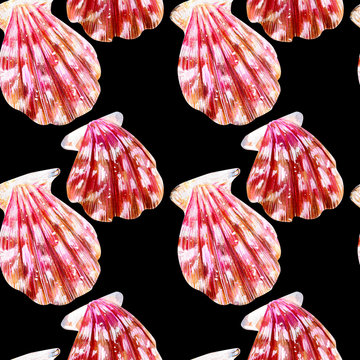 Seamless pattern of isolated sea shells scallops.