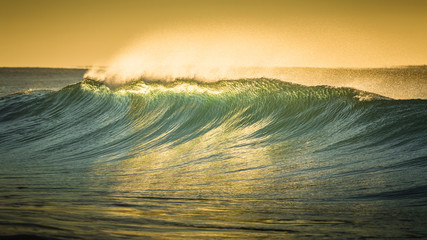 Australia, Queensland, Sunrise Beach. Beautiful dawn light makes a wave glow with gold.