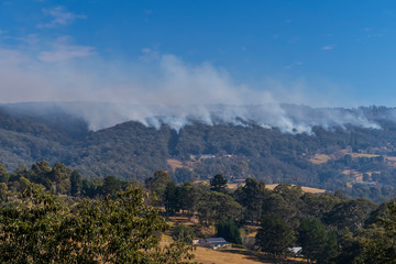 A small bushfire burning in gum trees in the mountains