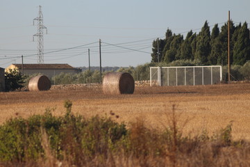 Travel In Mallorca © telearlens