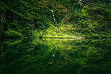 Scenic view of forest reflection in water
