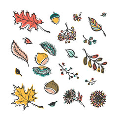 Vector Colorful Autumn Harvest Symbols. Hand Drawn Doodle Different Tree Leaves, Chestnuts, Rowan, Flowers and Berries. Happy Thanksgiving Day Greeting Card Template 