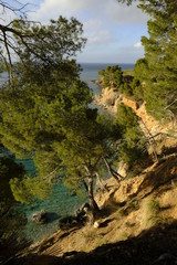 Fototapeta na wymiar Landschaft und Steilküste bei Betlem auf der Halbinsel Llevant im Naturpark Llevant, Mallorca, Balearen, Spanien