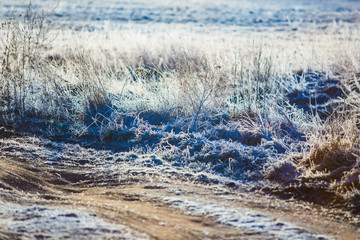 Dry grass white with frost in morning. Countryside concept. Beautiful landscape