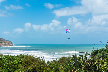 Paragliding. Flying Above Muriwai Beach, Auckland Area, North Island of New Zealand