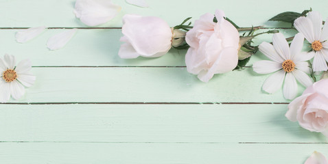 white roses on green wooden background 