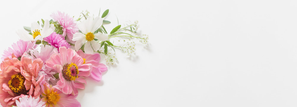 94 872 Best Aster Flower Images Stock Photos Vectors Adobe Stock 94 872 Best Aster Flower Images Stock Photos Vectors Adobe Stock
