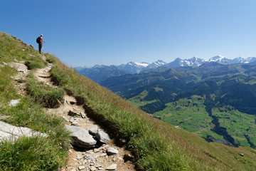 Fototapeta na wymiar Alpes Bernoises