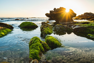 Tide Pool Sunset, Eldwayen Ocean Park, Pismo Beach, California