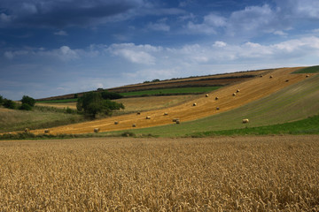 Fototapeta na wymiar Region of the Ponidzie in the south of Poland in summer