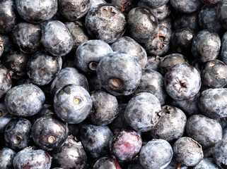 fresh ripe blueberries close-up