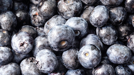 many ripe blueberry fruits close up