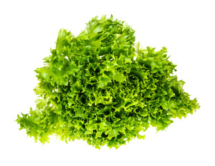 bunch of fresh green Ice lettuce cutout