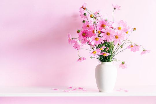 Fresh Summer Bouquet Of Pink Cosmos Flowers In White Vase On White Wood Shelf On Pink Wall Background. Floral Home Decor.