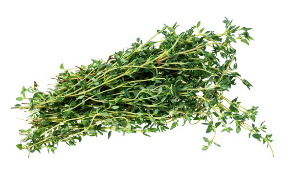 bundle of fresh thyme herb cutout on white