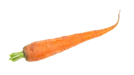 fresh organic garden carrot cutout on white