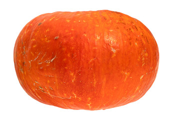 side view of ripe orange pumpkin cutout on white
