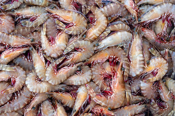 Sea fresh shrimps at street market in Thailand. Seafood concept.