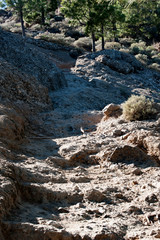 Hiking area of Roque Nublo