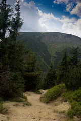 Fototapeta premium trail through Obri Dul to Sniezka mountain in the Krkonose/Karkonosze/ Giant MOuntains in the czech Republic in late summer