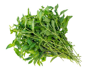 pile of fresh green twigs with leaves of mint