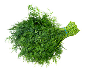 big bundle of fresh wet green dill herb cutout