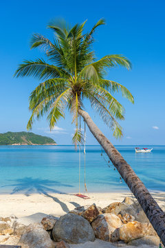 Swing hang from coconut palm tree over sand beach near blue sea water in Thailand. Summer, travel, vacation and holiday concept