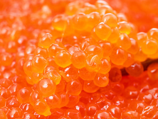 macro photo of red caviar of pink salmon fish