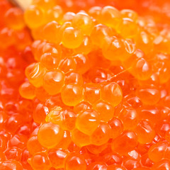 macro photo of red caviar in wooden spoon