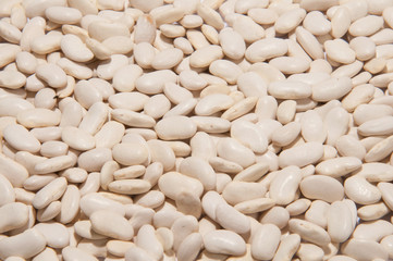 white beans 