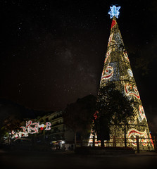 Christmas tree in marbella