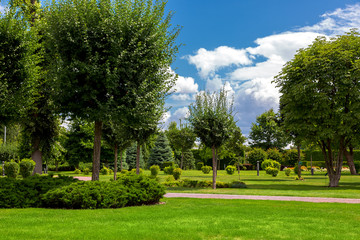 eco friendly park with a walkway with green glade in a garden with trees and different plants, summer mood background.